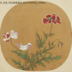 宋朝